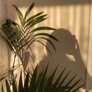 Meet your Posher, Medes